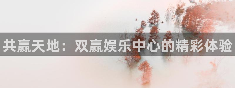 长征娱乐：共赢天地：双赢娱乐中心的精彩体验