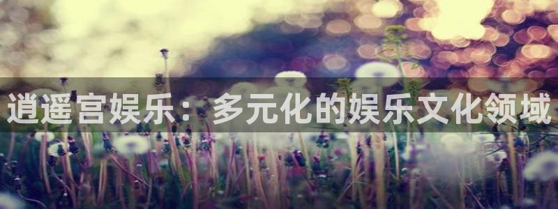 长征娱乐主管：逍遥宫娱乐：多元化的娱乐文化领域