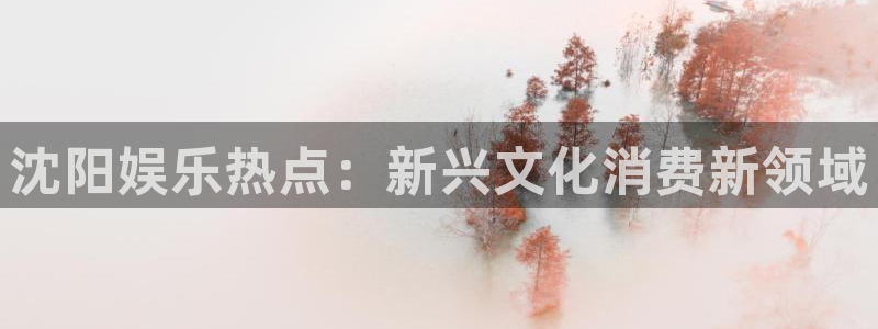 长征娱乐平台：沈阳娱乐热点：新兴文化消费新领域