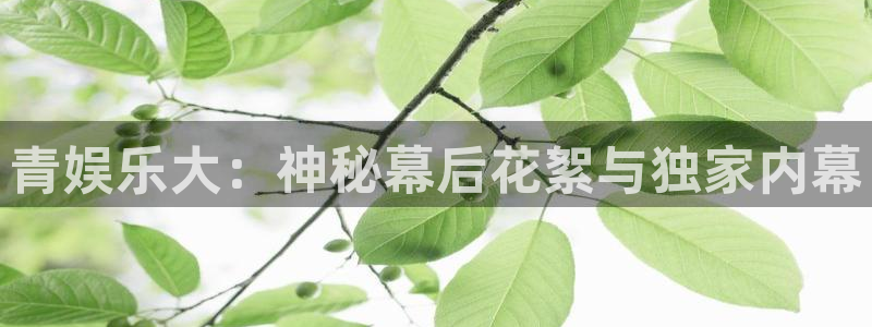 长征娱乐平台注册：青娱乐大：神秘幕后花絮与独家内幕