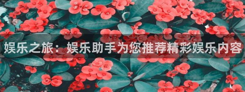 长征娱乐主管：娱乐之旅：娱乐助手为您推荐精彩娱乐内容
